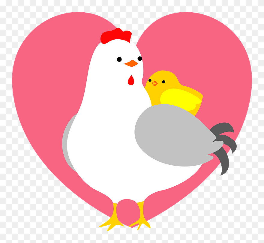 Chicken Chick Heart Clipart - Cartoon - Png Download