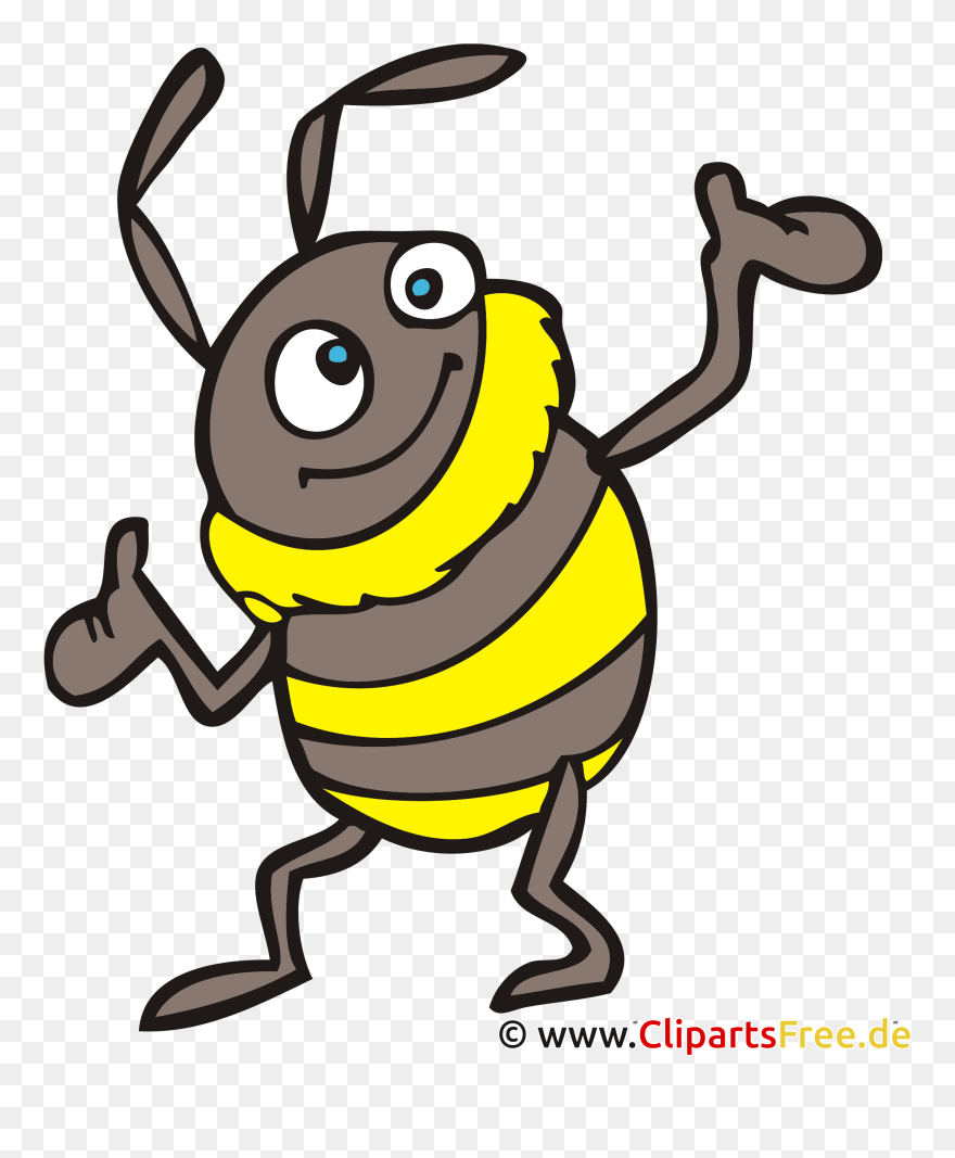 Hummel Clipart, Bild, Cartoon Kostenlos - Clipart Hummel - Png Download