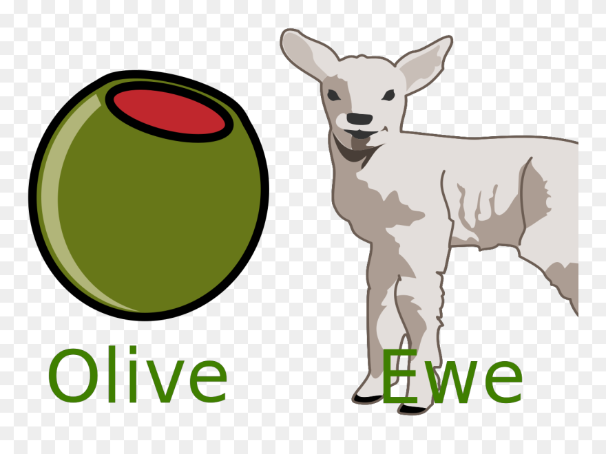 Lamb Clipart - Png Download