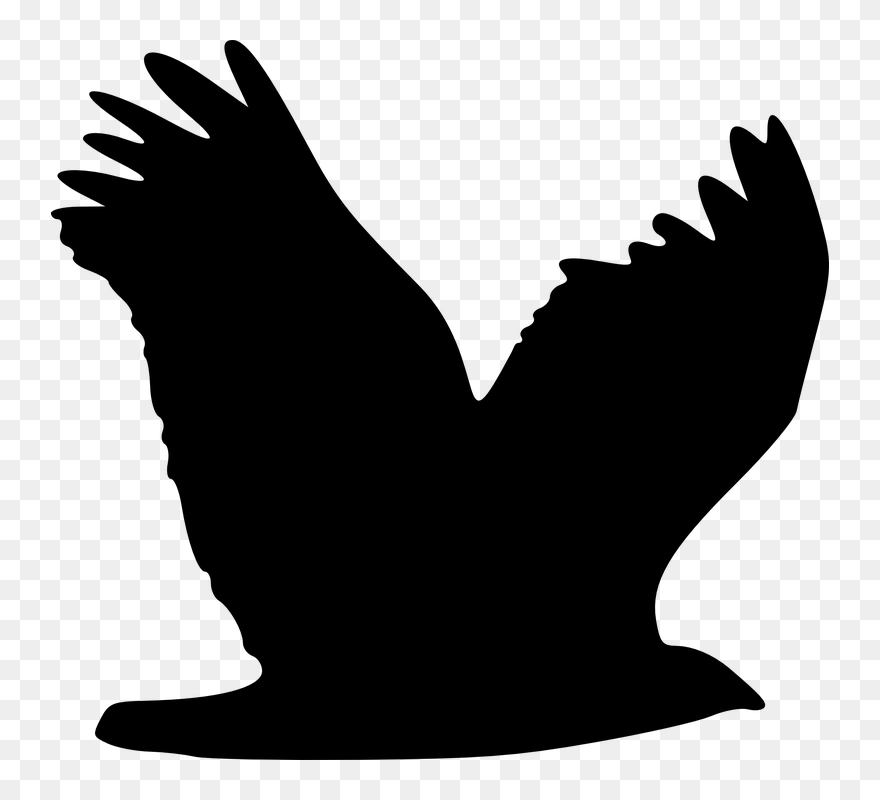 Eagle Wing Clip Art - Silhouette Eagle Wing Clip Art - Png Download