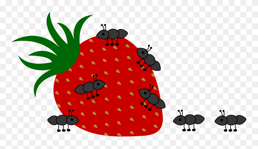 Picnic Cliparts - Picnic Ants Clipart - Png Download