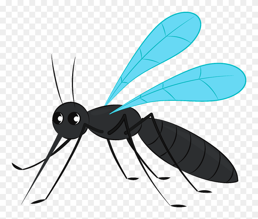 Mosquito Clipart - Png Download