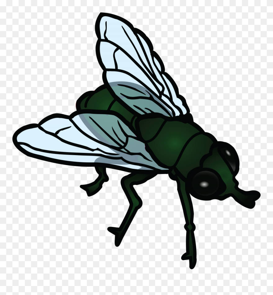 Download Fly Png Photos For Designing Projects - Flies Clipart Transparent Png