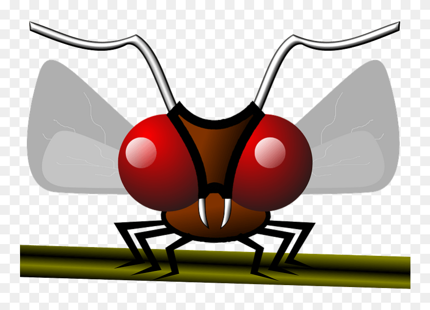 Mosquito Clipart - Mosquito - Png Download