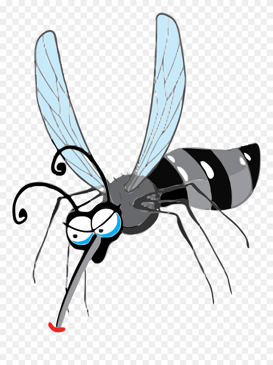 Nyamuk Aedes Aegypti Kartun Clipart