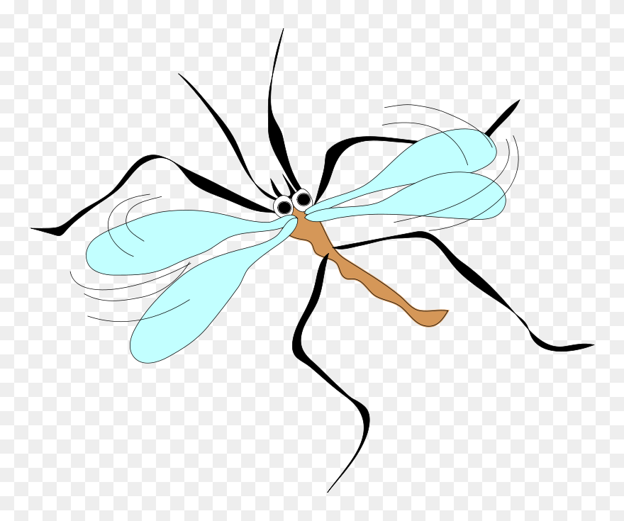 Architetto Moschito Stecchito - Mosquito Clip Art - Png Download