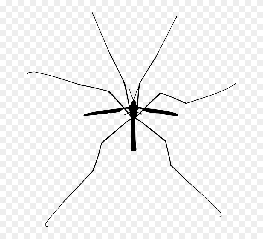 Mosquito Insect Silhouette Clip Art - Public Domain Mosquito Silhouette - Png Download