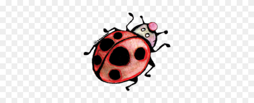 Clipart Insectes Gratuit - Ladybug - Png Download