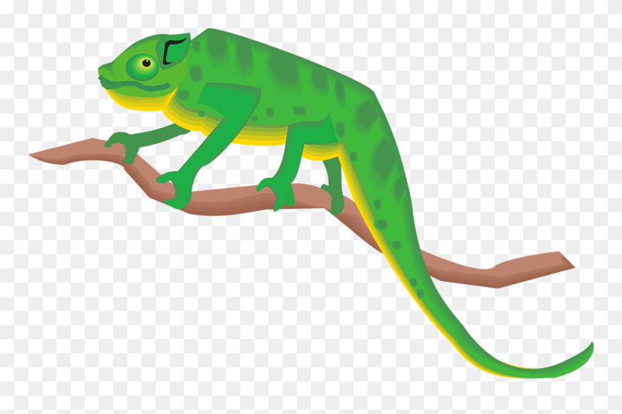 Branch Green Chameleon Standing Png Image Chameleon - Chameleon Clipart Png Transparent Png