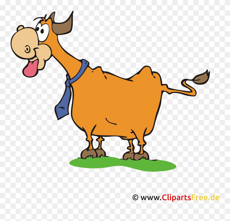 Ochse Clipart, Bild, Cartoon, Grafik, Illustration - Ochse Bild - Png Download