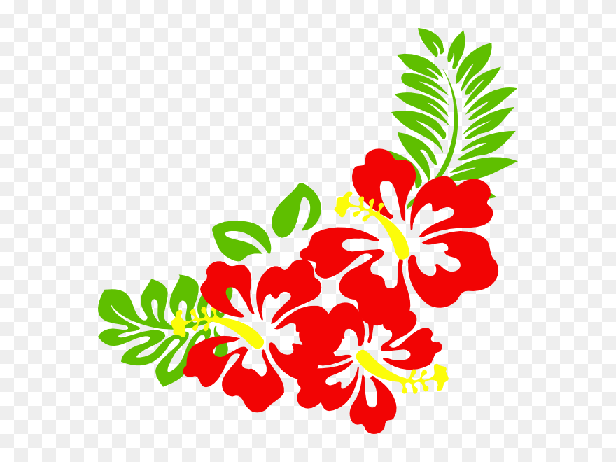 Hawaiian Flower Clip Art Borders - Clipart Hawaiian Flowers - Png Download