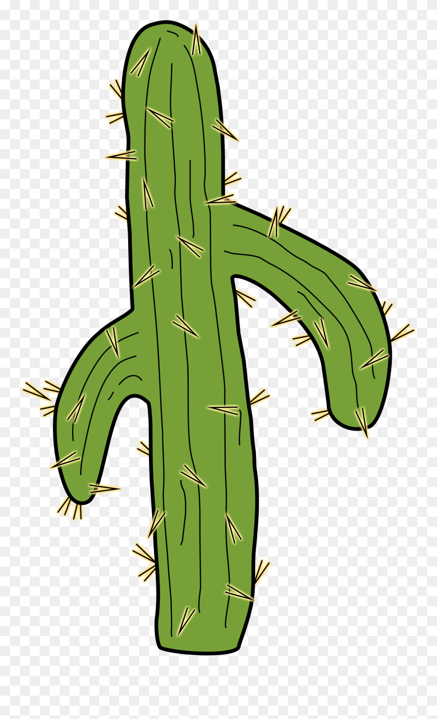 San Pedro Cactus Clipart