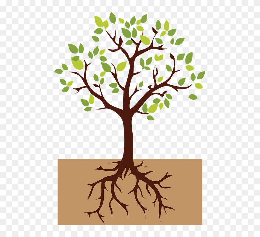 Drzewo Z Korzeniami Rysunek Clipart