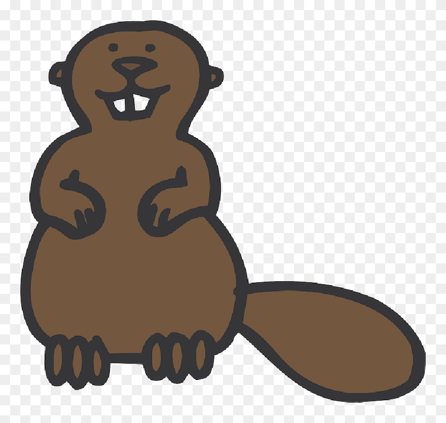 Simple, Cartoon, Beaver, Art, Standing, Animal - Clip Art - Png Download