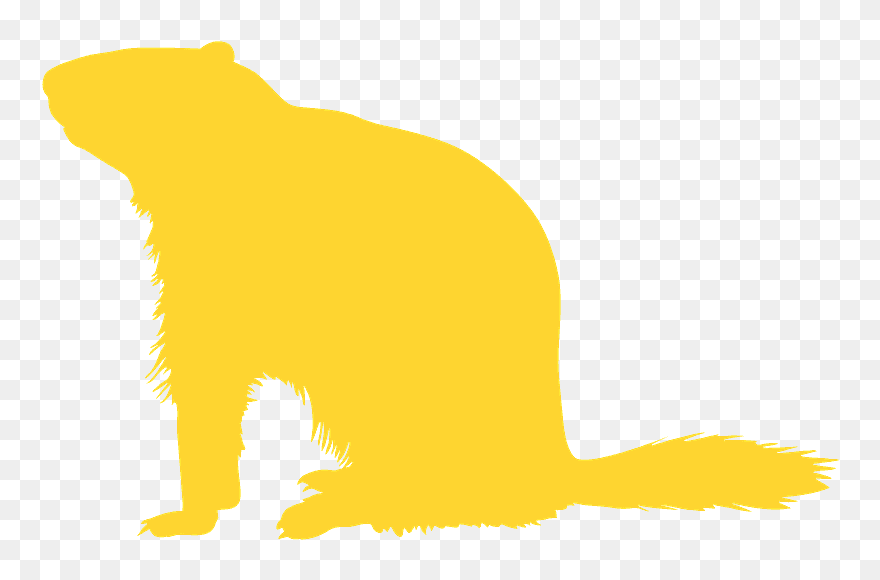 Illustration Clipart