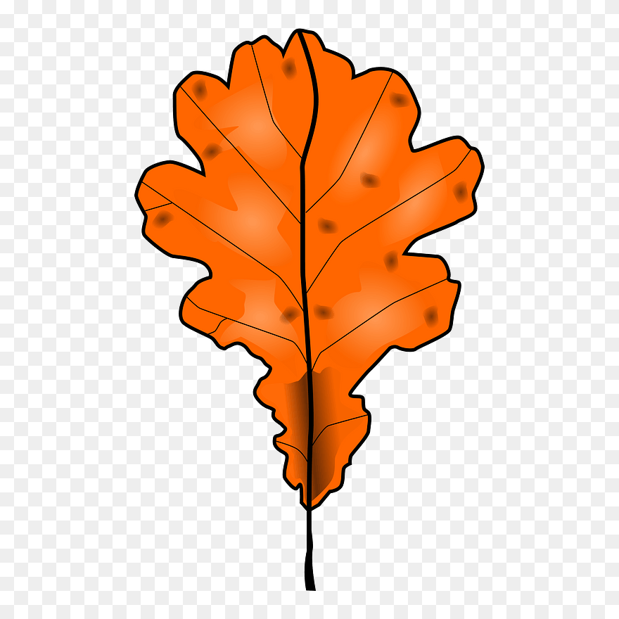 Oak Fall Leaf Clipart - Dead Leaf Clipart - Png Download