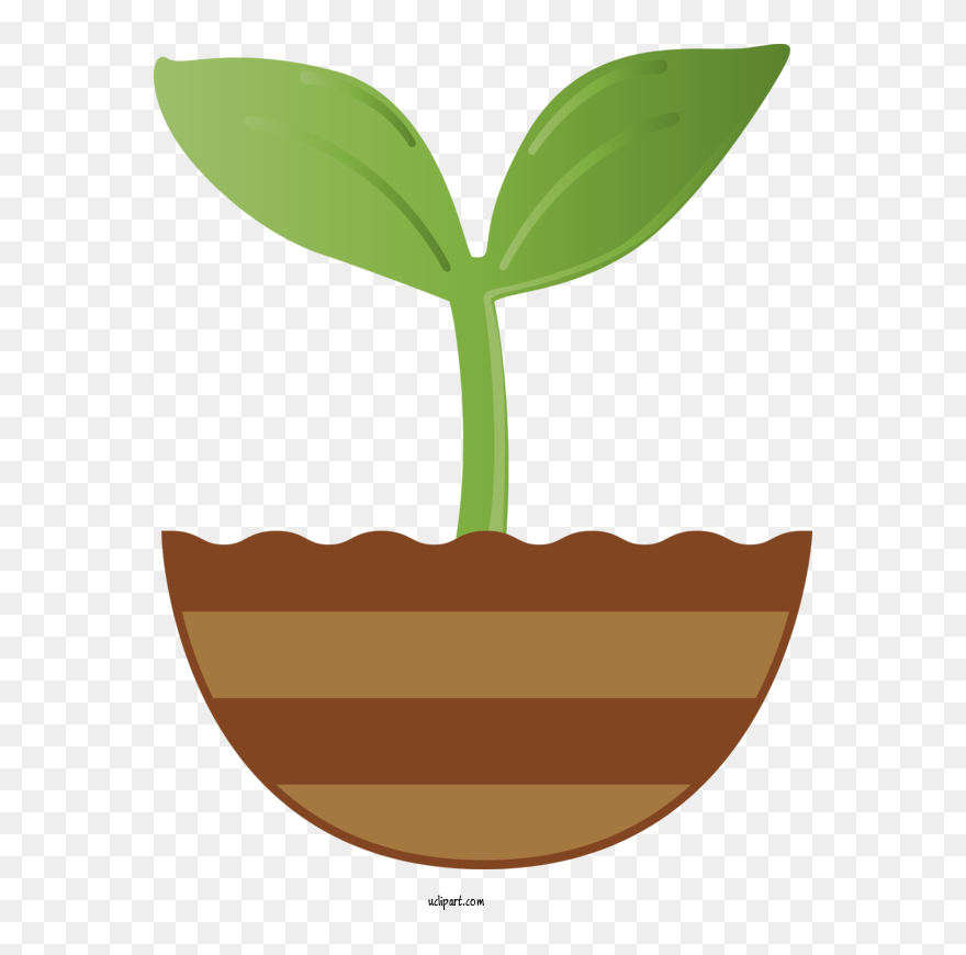 Transparent Nature Leaf Plant Flowerpot For Leaf For Clipart