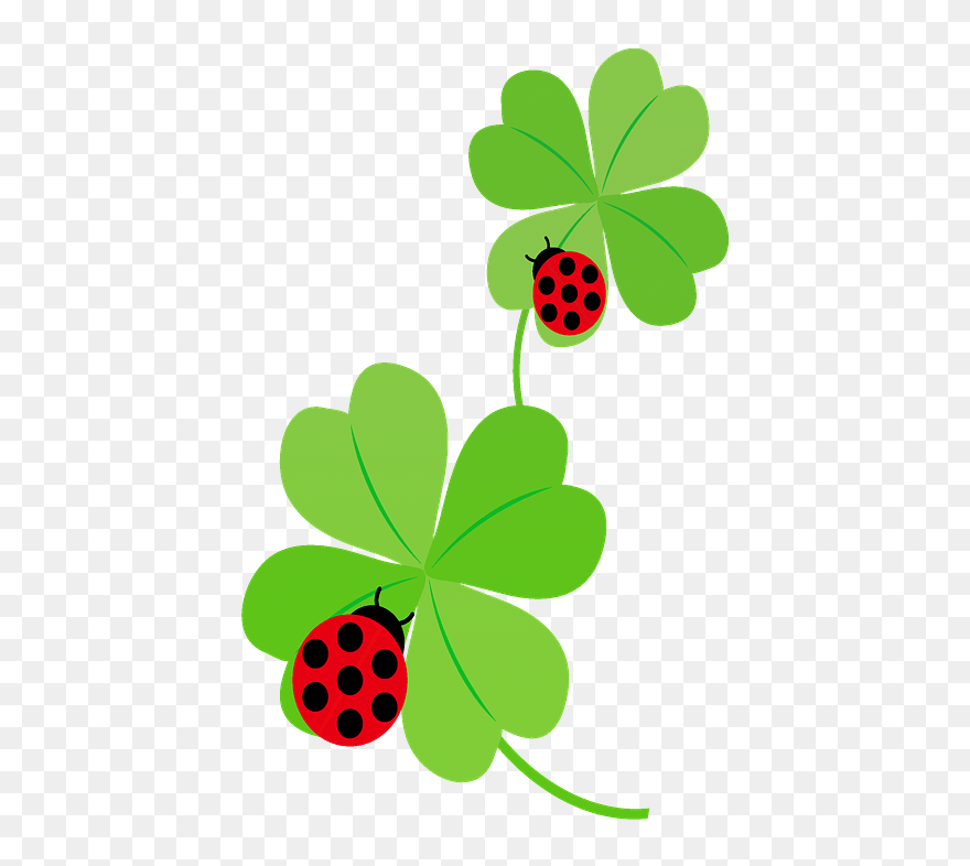 Ladybugs On Clover Leaves Clipart - 四 つ 葉 の クローバー と てんとう 虫 - Png Download