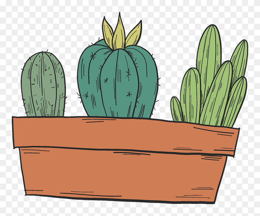Cactuses In A Pot Clipart - Illustration - Png Download