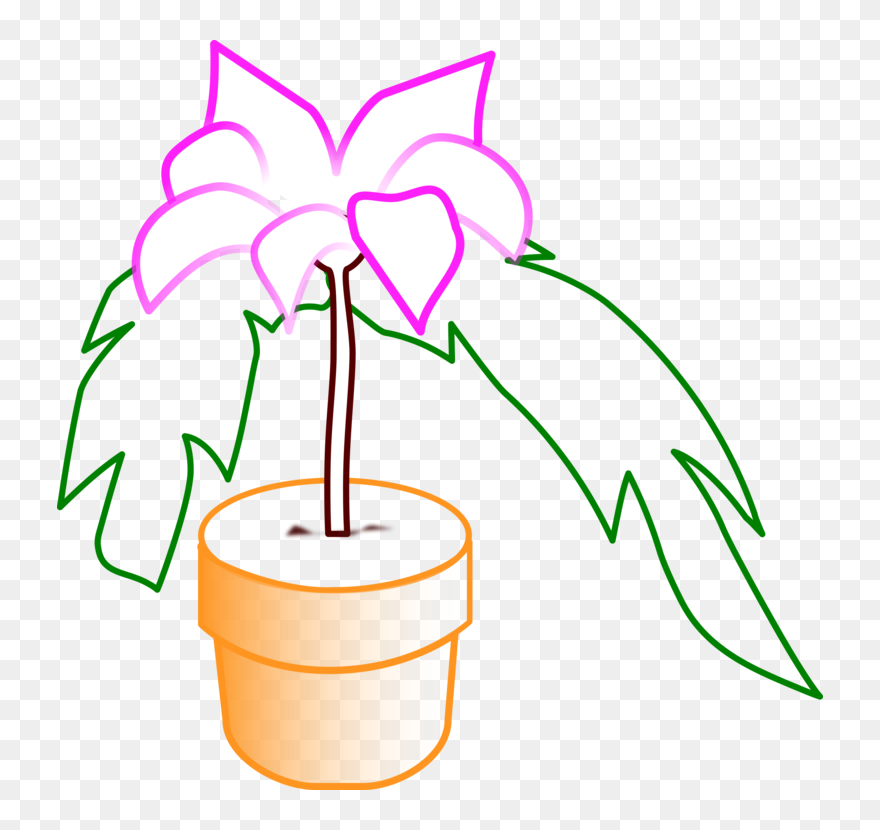 Line Art,plant,flower - Plants Clipart
