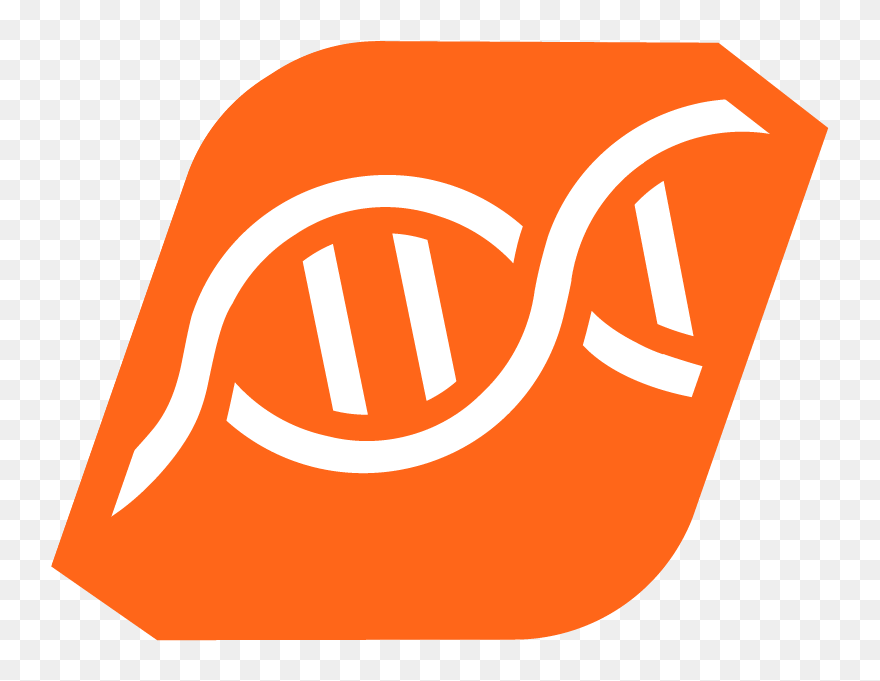 Transparent Oklahoma State University Clip Art - Png Download