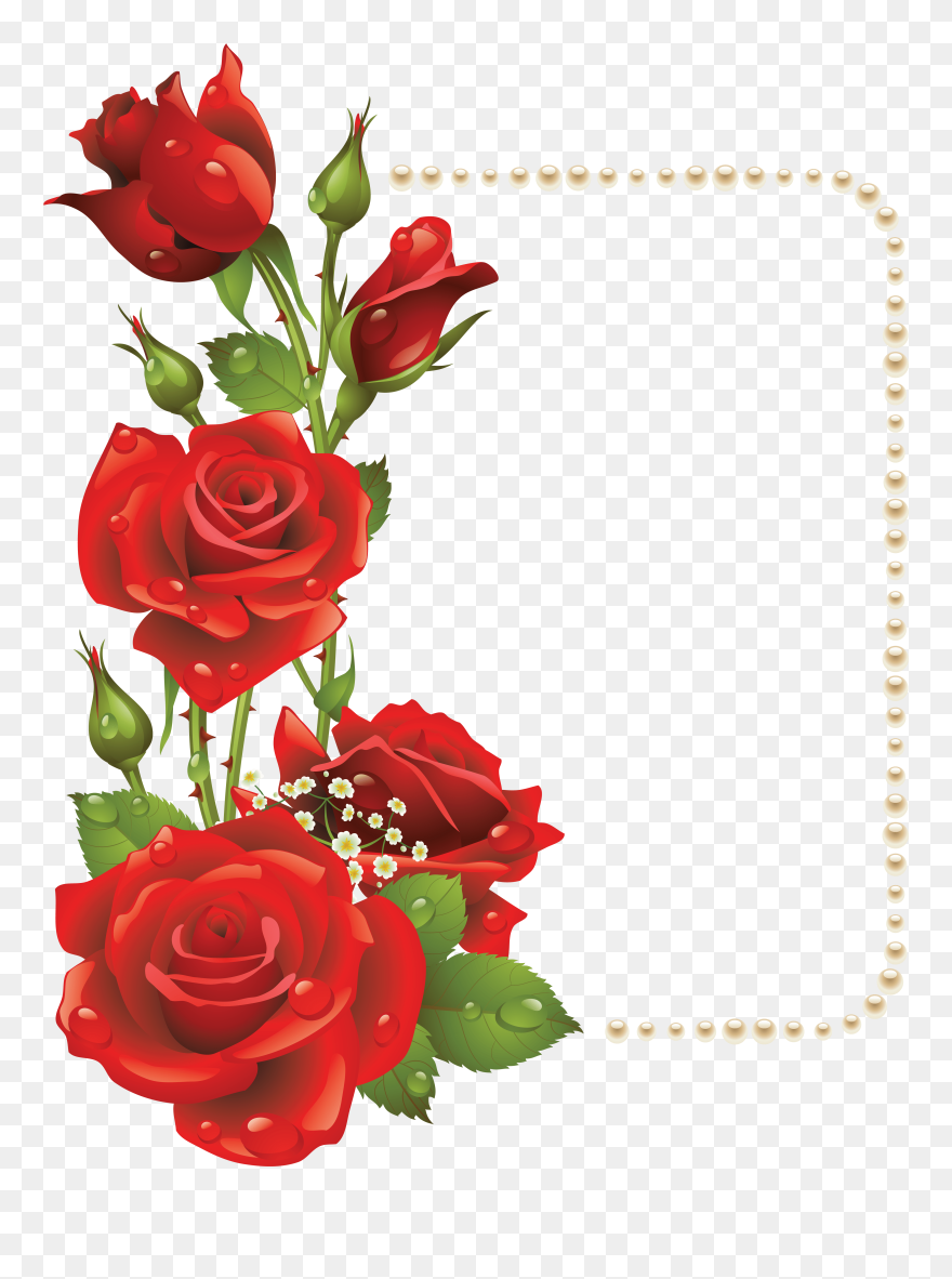 Transparent Roses Clipart - Rose Flower Frames Design Png