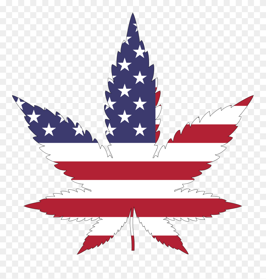 Plant,veterans Day,tree - Marijuana Leaf American Flag Clipart
