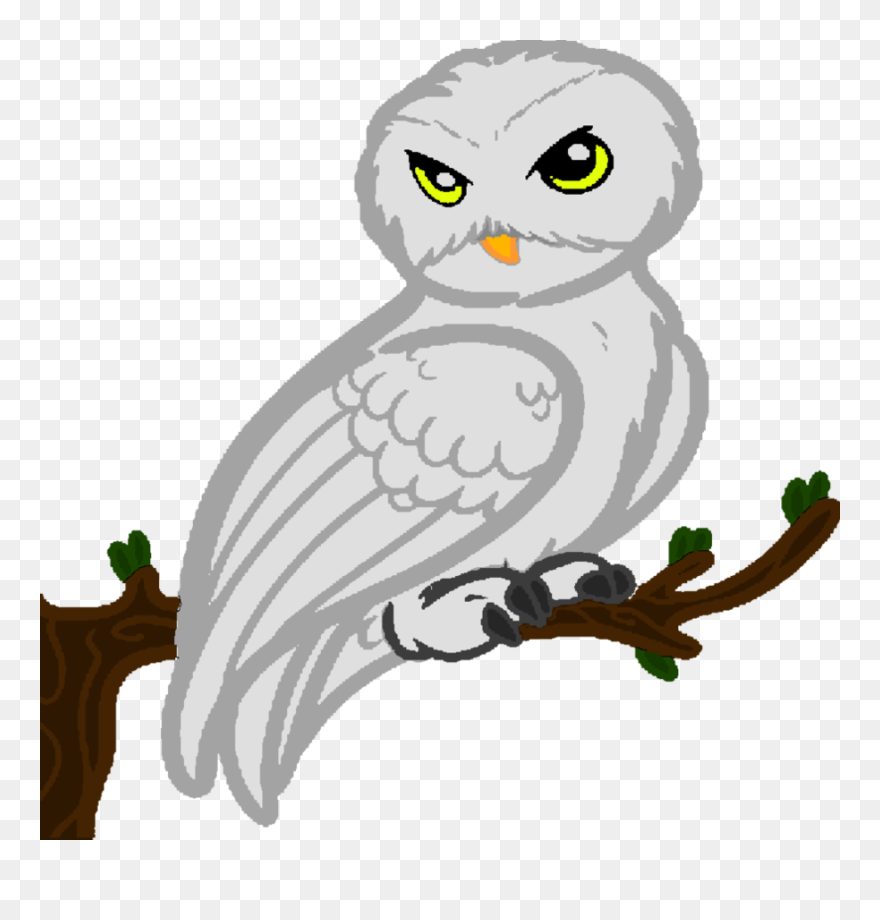 Collection Of Free Hedwig Drawing Realistic Download - Harry Potter Clipart