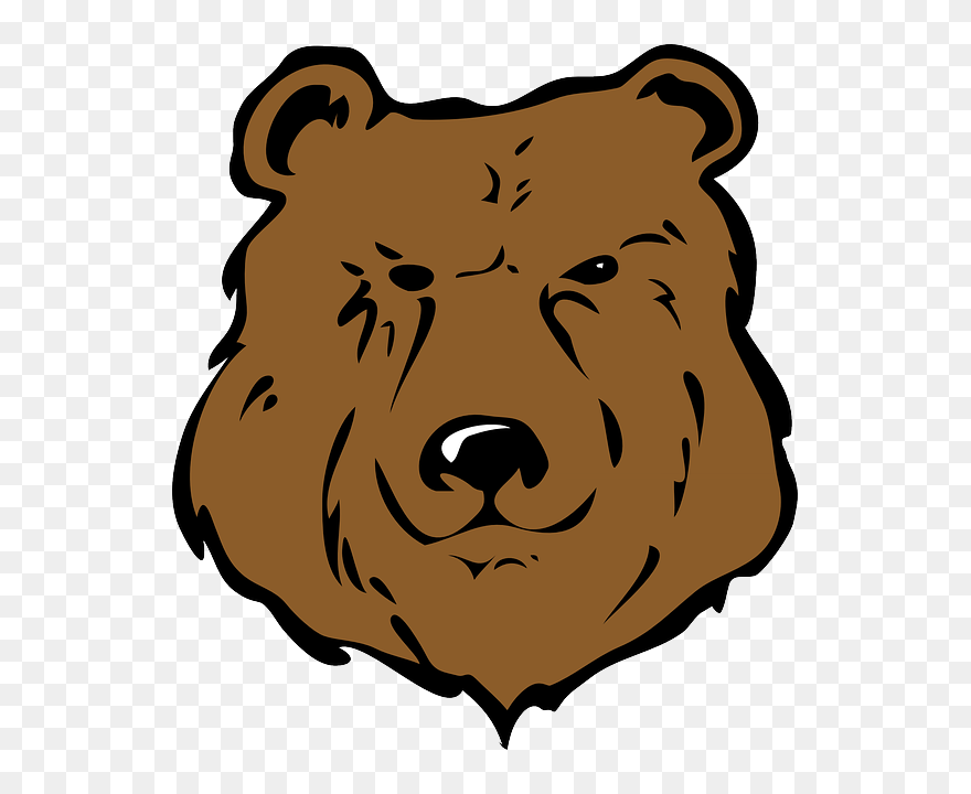 Koala Bear Face Clipart - Bear Face Clipart - Png Download