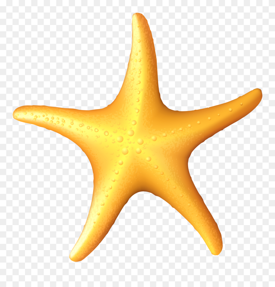 Download Sea Star Clipart - Clipart Starfish - Png Download