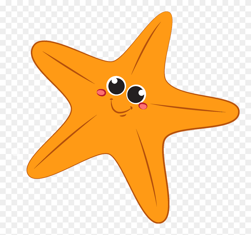 Starfish Clipart - Clip Art Star Fish Cartoon - Png Download