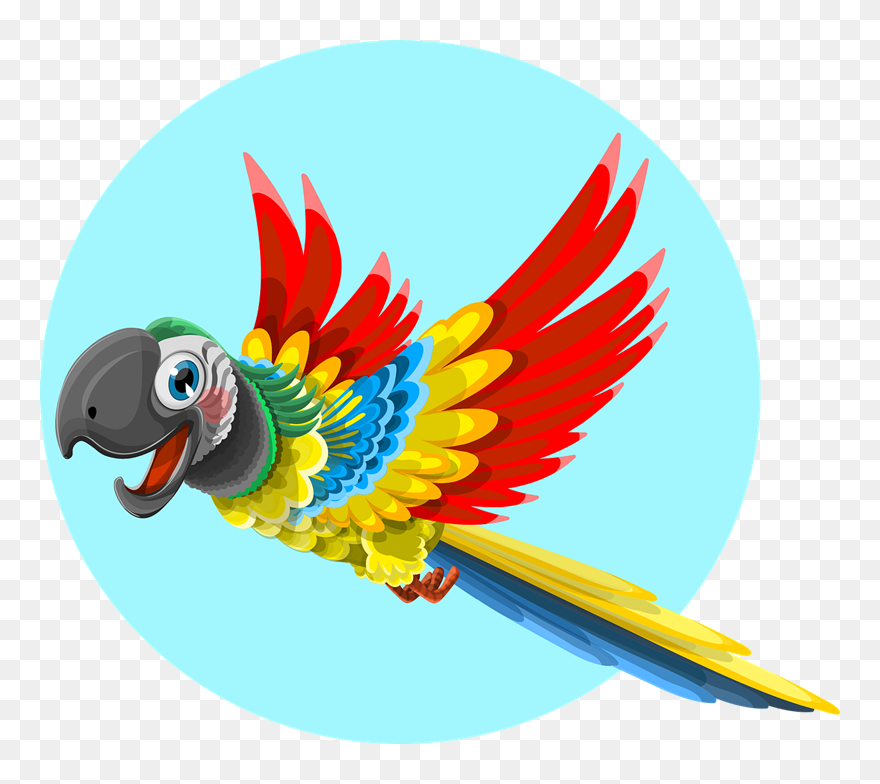 Free To Use & Public Domain Parrot Clip Art - Zoo Parrot Clipart - Png Download