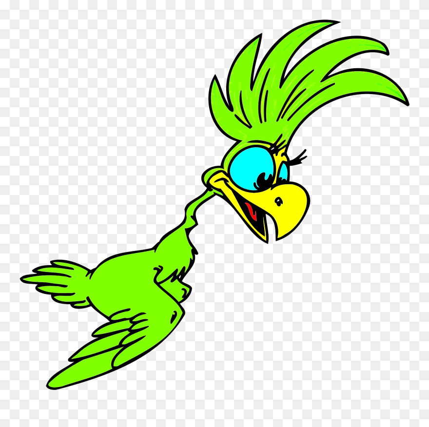 Bird Cartoon Flying Drawing Clipart