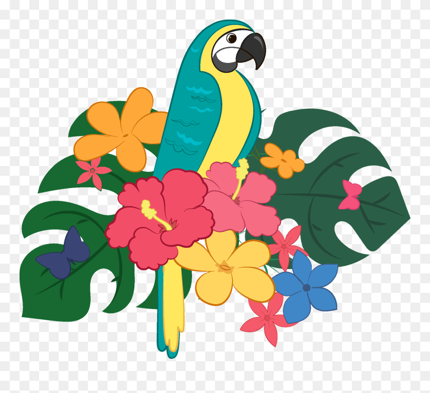 Parrot Clipart - Macaw - Png Download