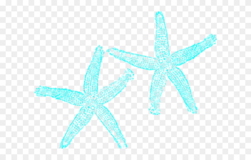 Starfish Clipart - Png Download