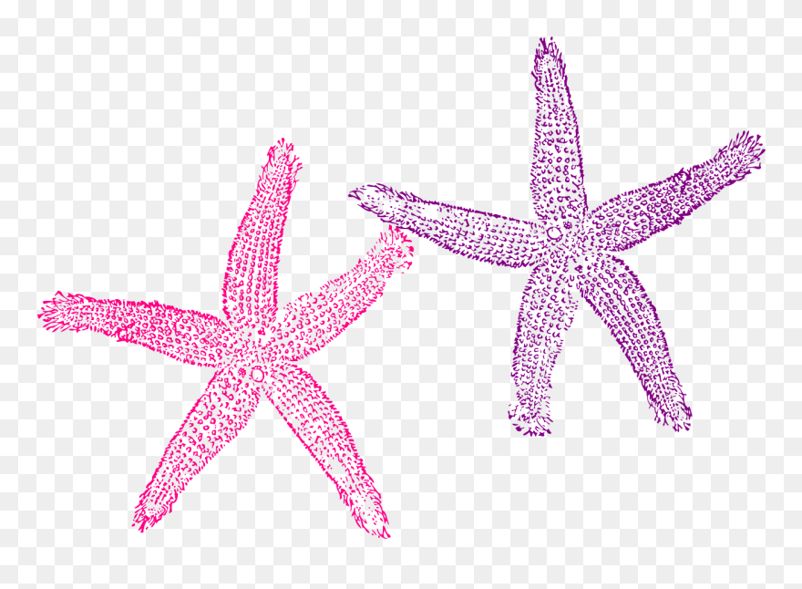 Fish Clip Art , Png Download - Transparent Background Purple Starfish Clipart