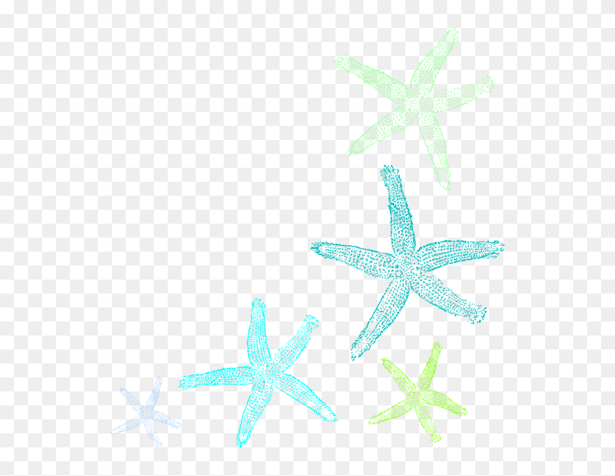 Starfish Clipart