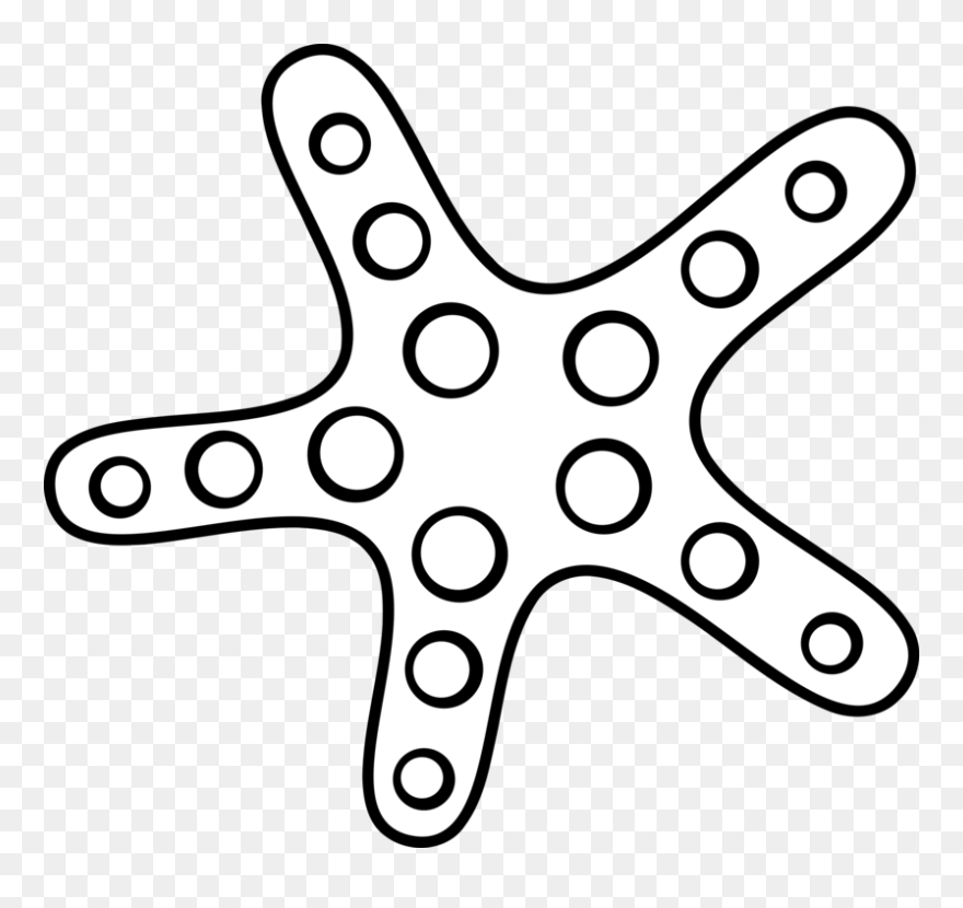 Drawing Starfish Ink - Starfish Clipart Black And White - Png Download