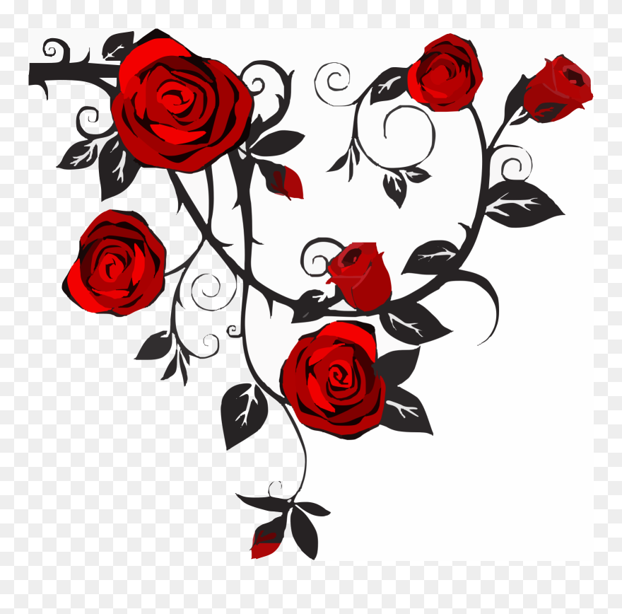 Rose Vine Drawing Clipart