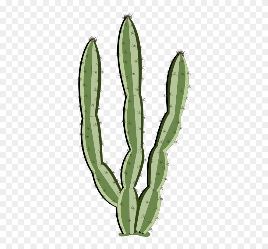 Scene Drawing Cactus - Transparent Background Saguaro Cactus Clipart - Png Download