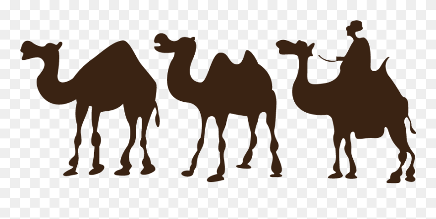 Camel Desert Drawing Clip Art - Sahara Desert Clip Art - Png Download