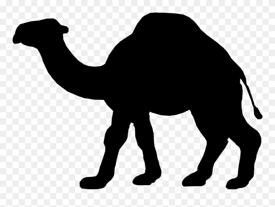 Dromedary Illustration Silhouette Desert Clip Art - Camello Sombra - Png Download