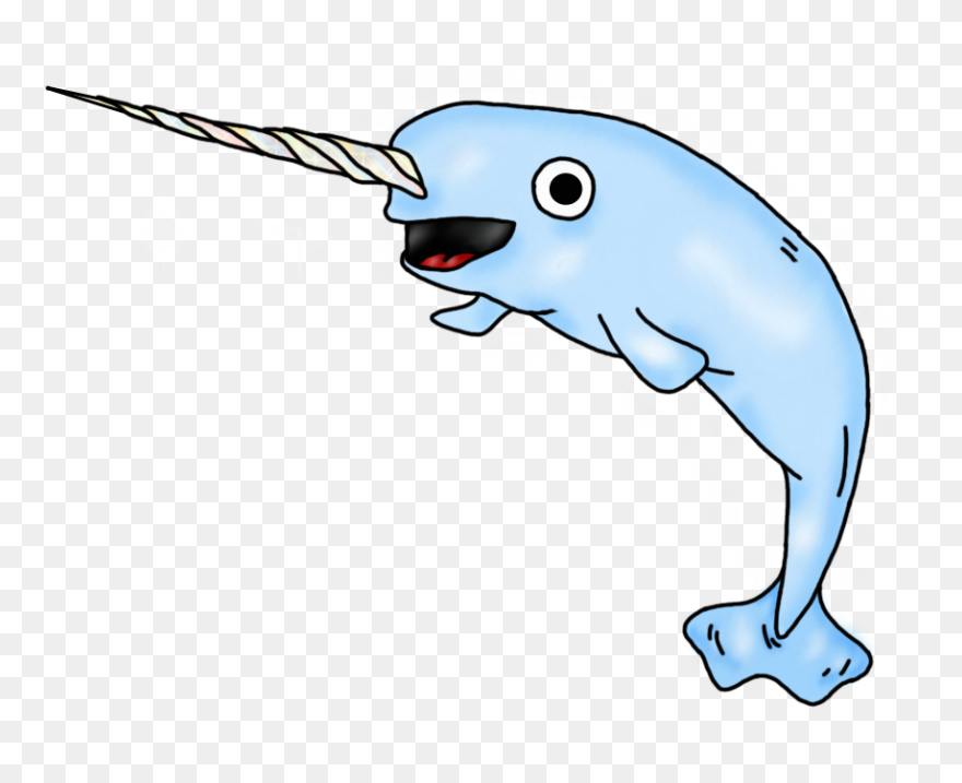 Narwhal Clipart - Png Download