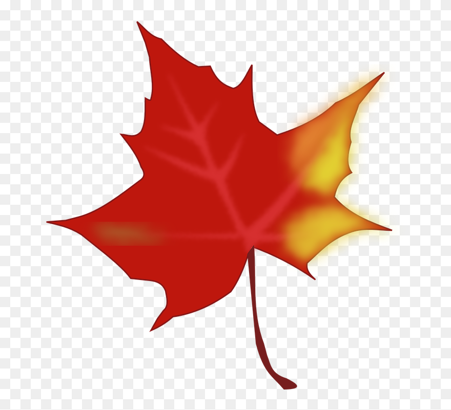 Maple Leaf Clipart Yellow Fall Leaf - Cartoon Autumn Leaf Transparent - Png Download