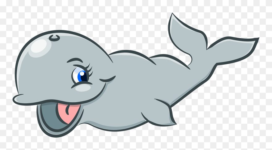Cute Whale Clipart - ภาพ สัตว์ การ์ตูน น่า รัก - Png Download