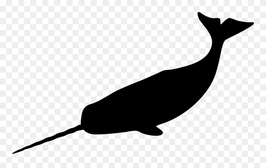 Narwhal Whale Drawing Clip Art - Narwhal Silhouette - Png Download