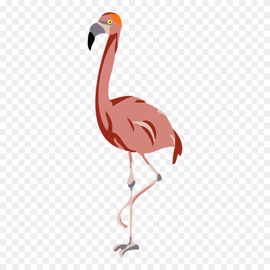 Flamingo Bird Clipart - Ibis - Png Download