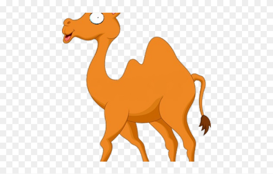 Cartoon Camel Png Clipart