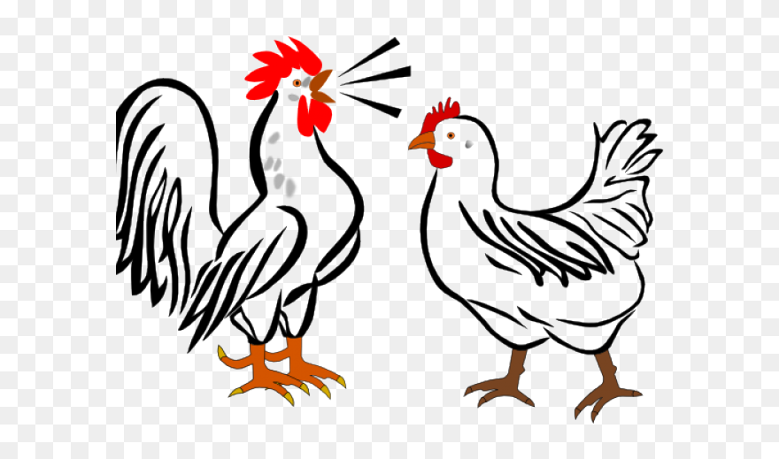 Chick Clipart Rooster - Rooster And Hen Cartoon - Png Download