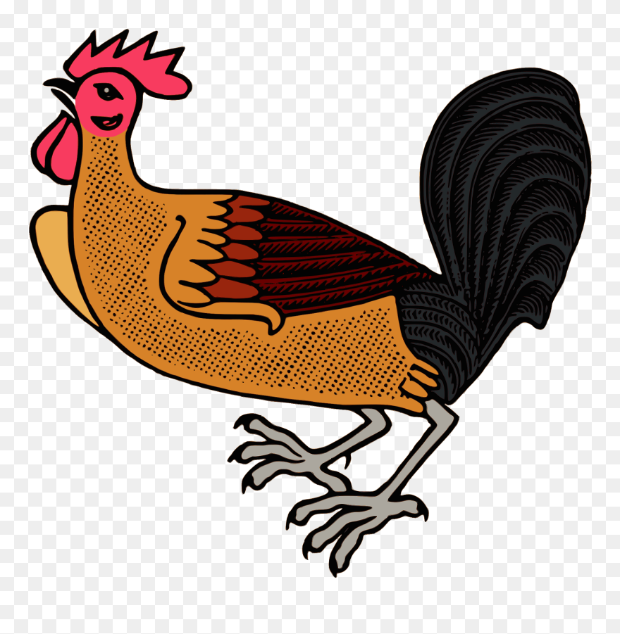 Chicken Pixabay Png Clipart